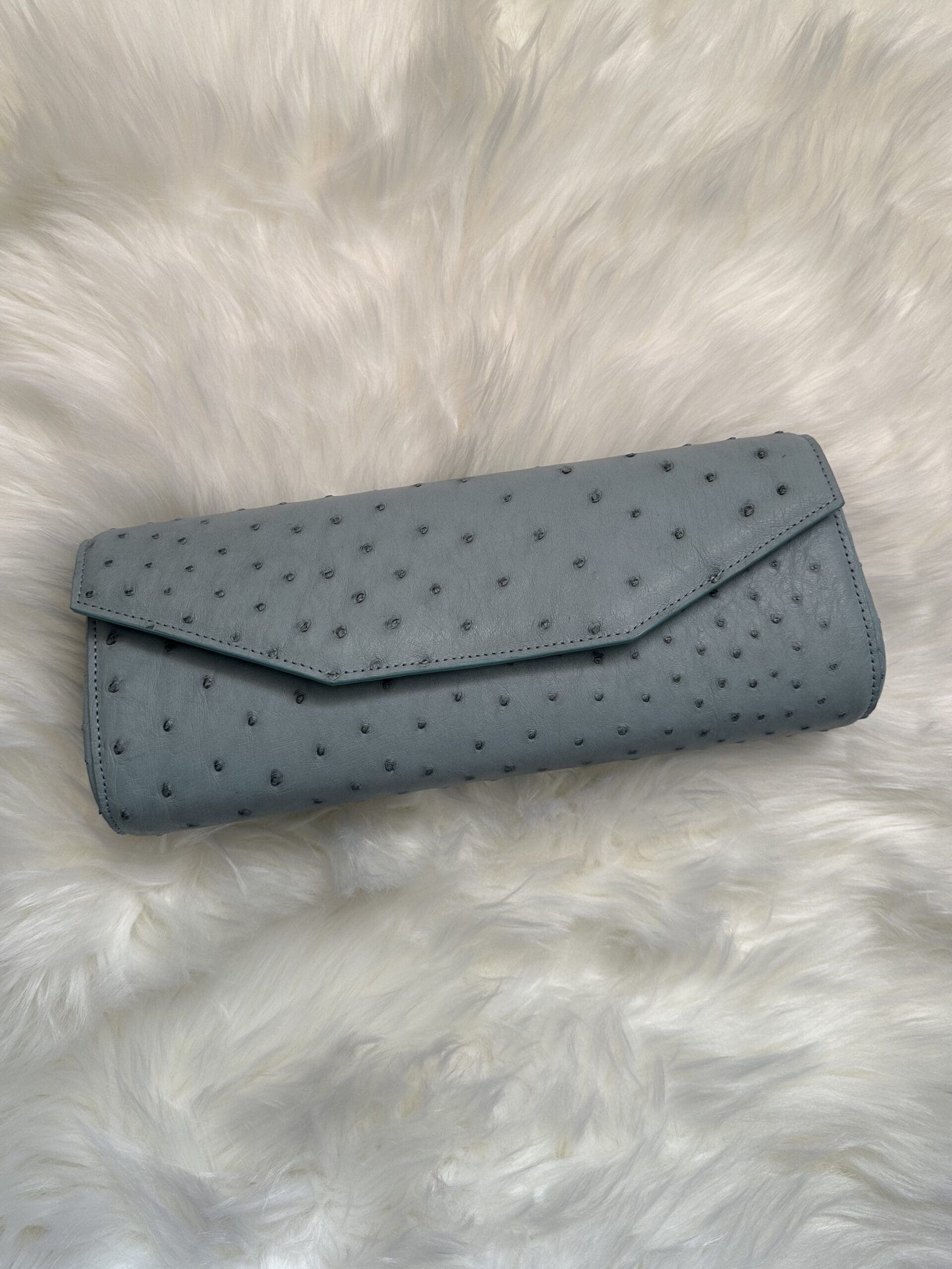 Sharla Ostrich Clutch – Robin’s Egg