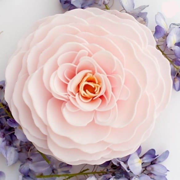 A'marie's Bath Flowers Cherry Blossom Large Petal Soap