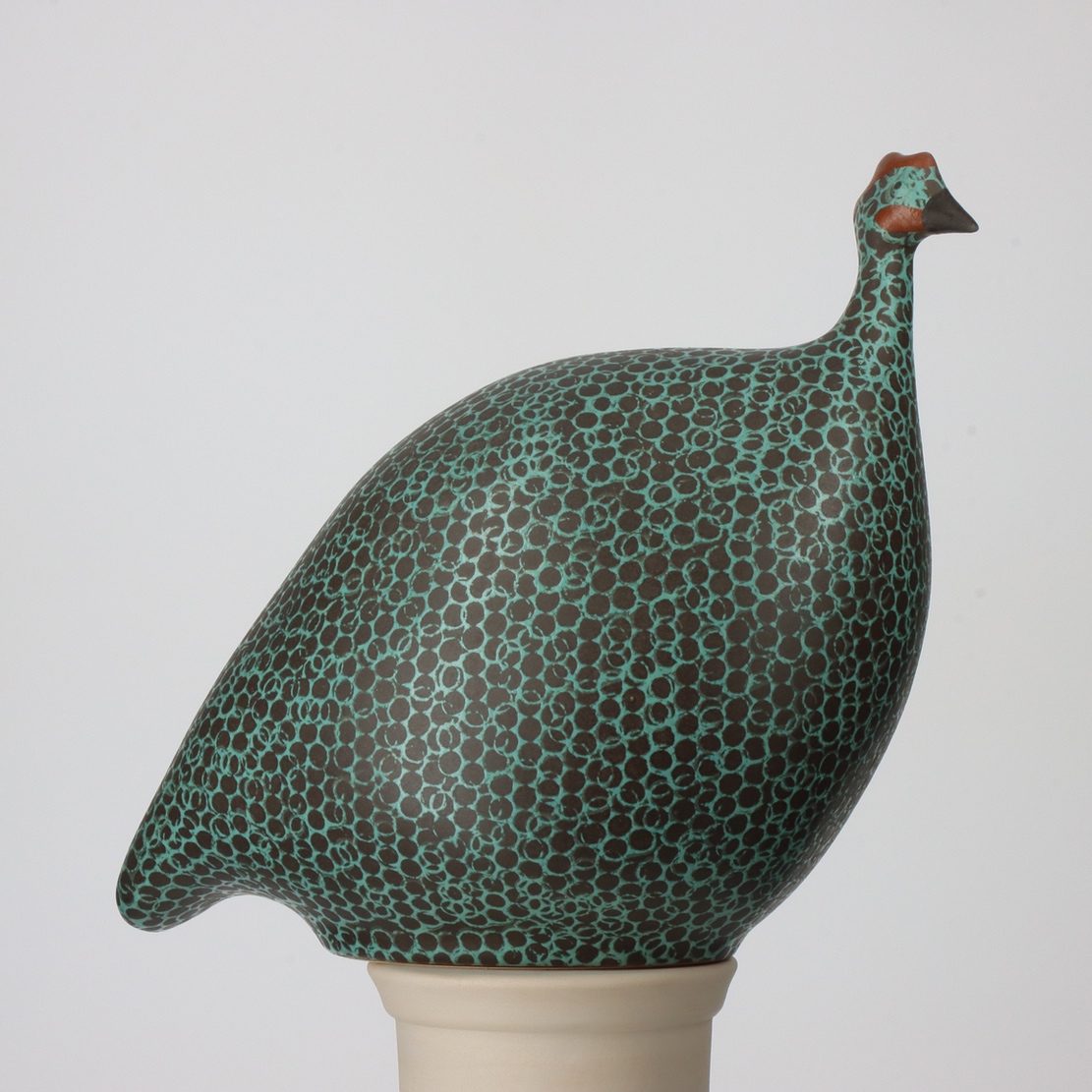 French Guinea Fowl - Black Spotted Turquoise - Small