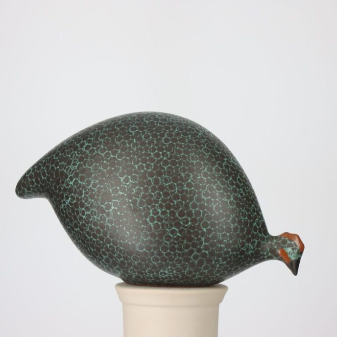French Guinea Fowl - Black Spotted Turquoise - Pecking