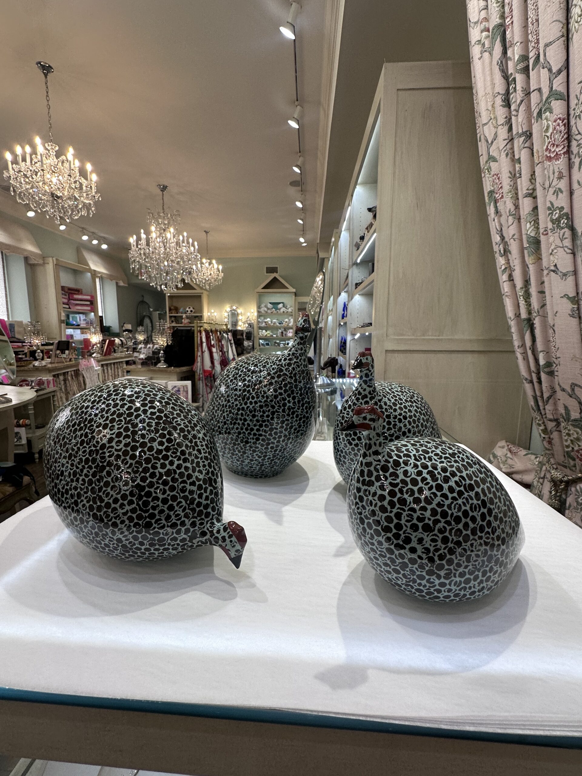 French Guinea Fowl - Black Spotted Turquoise - Small - Image 3