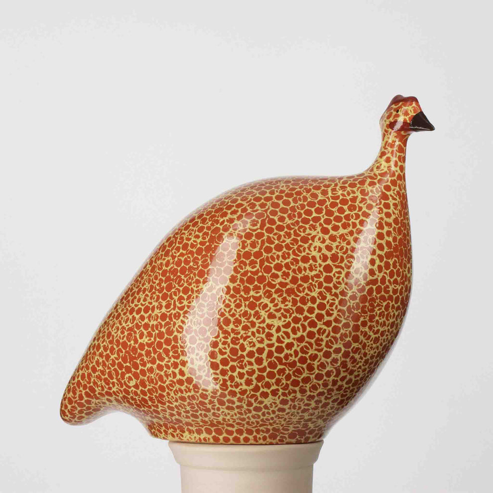 French Guinea Fowl Red Spotted Yellow - Medium